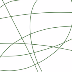 Lines
