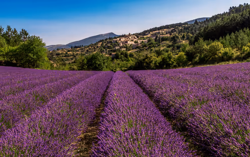 Item #105679162715773690367894814568251153202929894369313826483118647835594416193537 Media