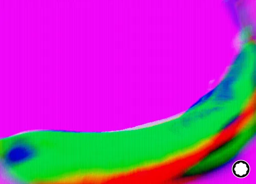 Item #83829751958947647846419200846164710754981145876737143323777831729347023601665 Media