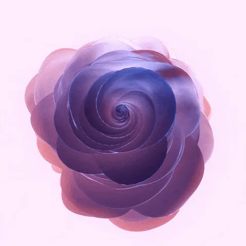 Item #25249503321639968568411337117502815896451552420001888258434038571346711019521 Media