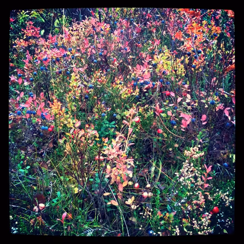 Item #52895557054077878382104802534352742176621658292506660955636510186366100832257 Media