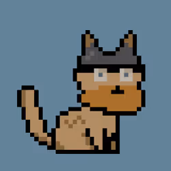 PunkCat #2492