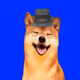 35132558306005666945989237054941300939245987658462459495312623048166660374529