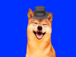Item #35132558306005666945989237054941300939245987658462459495312623048166660374529 Media