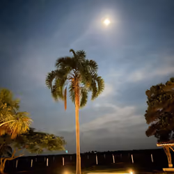 the moon from down south 