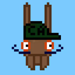 113070225778550788968759171340581278412926486027966729088618094098634858561537