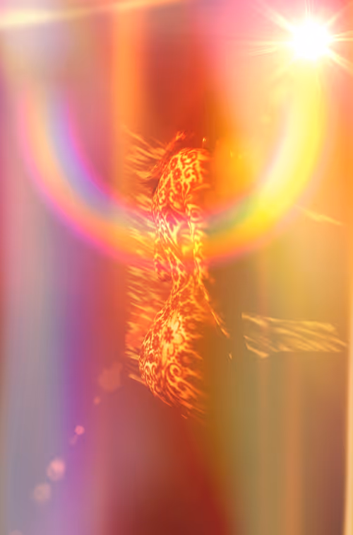 Item #40498021365110625873163859620955492987361950717153146364459205400164908924929 Media