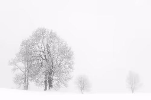 Item #82038507178112004707132471695972498506825775528903589266831690693063506657281 Media