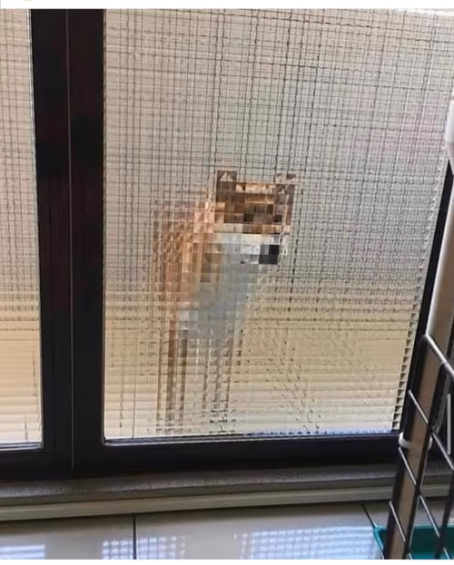 Item #29502220723513745632494630203628124049369672706650772299204537615730253758465 Media