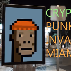CRYPTOPUNKS IN MIAMI , THE STREET 