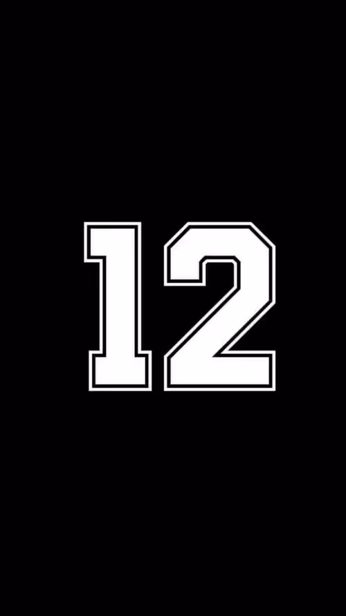 Item #41908117282834546308620070420311553244988710676005289912053949786065475731457 Media