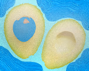 Item #83842155737933285357873813371510413453396247017039311211722984804876336234497 Media