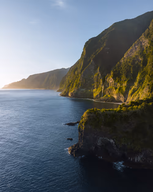 Item #59404681870809906448390957325299961742928436828892721220786848745130033152001 Media