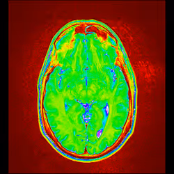 64162533542198579898252916190583583845604629893829087458582976439584343195649