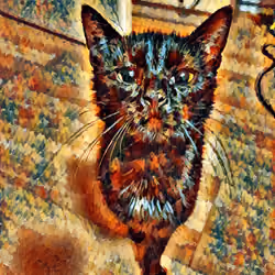 My cat is an NFT 