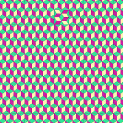 OCD Tester #1