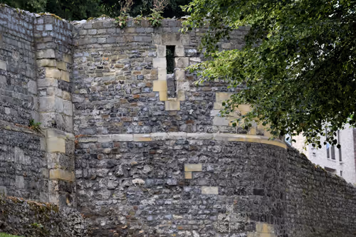 Item #916077490281078954391891268022086119289121145792755899354399232113311219713 Media