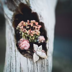New Life