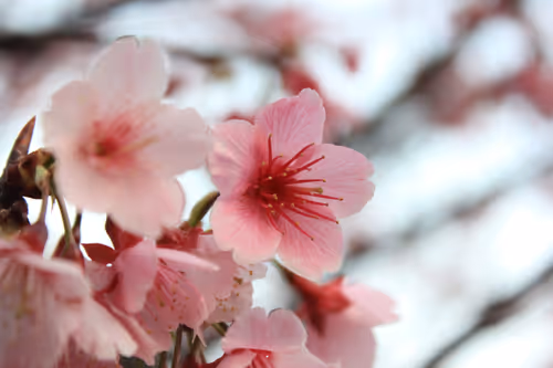 Item #88341892428238457671163359138931352612055705478125639874456303485224361132033 Media