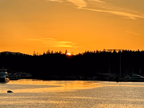 Item #60286361363657250857601775030637471218171117852543341295073304060230497206273 Media