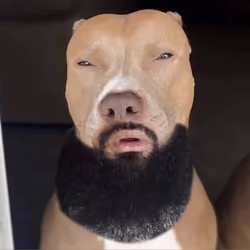 Light Skin Dog 
