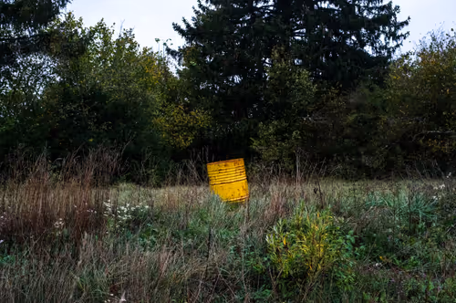 Item #88837150709499798352031986971363165703044907958800399059978422584184924012545 Media