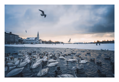 Beatriz Urrutia Editions