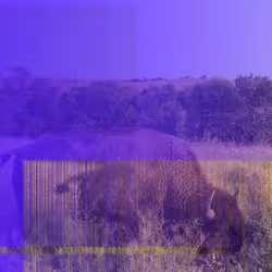 105089968166921690156624725616502706642431777719922472152070405749150570250241