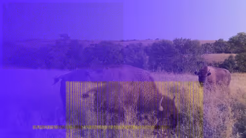 Item #105089968166921690156624725616502706642431777719922472152070405749150570250241 Media