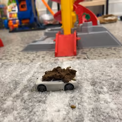The PoopCar