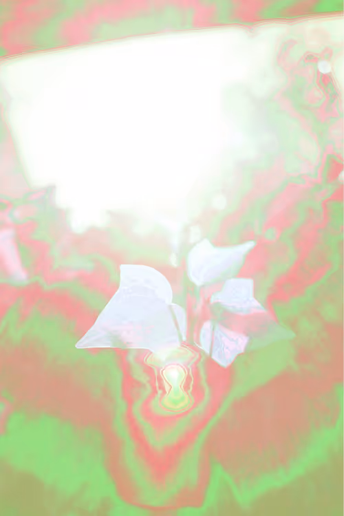 Item #27434377377013038178664737441891876800279773627045091571206927095620213669889 Media