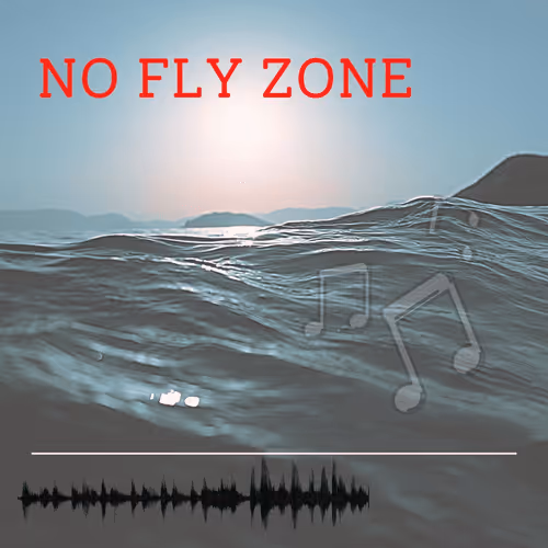 No Fly Zone