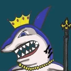 SHARP TOOTH SHARK COLLECTIONS