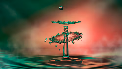 Item #46452483458583203516315982978938450085819332447988047322207474297962724589569 Media