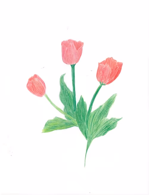 Item #96193840209485145281786227616875507946293260960527511035489777749625281708033 Media