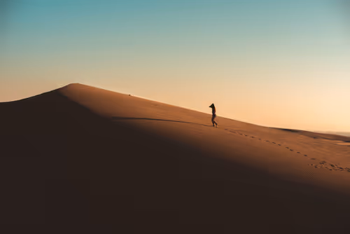 Item #91501497008151221125596935841676000512183505427004855270702190533472732315649 Media