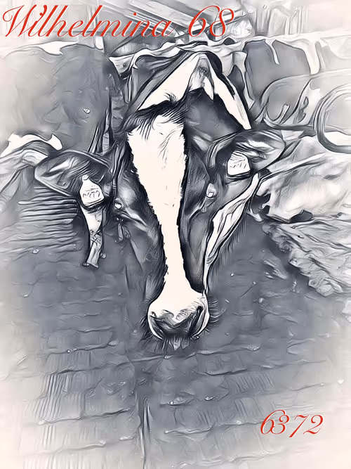 Item #106168068867162485094593885732241547229015412580842941571810197398809808470017 Media