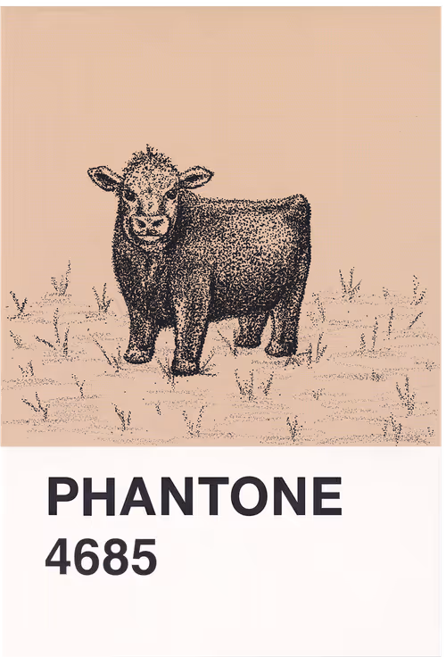 Item #23619072769629648887099014645842319039725167025197022934232545096931657908225 Media