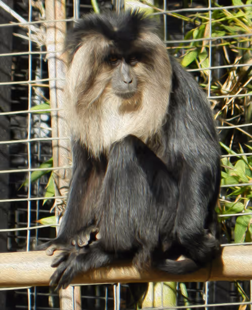 Item #95619151568614802974454947629602672965769746893472874508208249371408541417473 Media