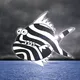 Zebra Fish #12