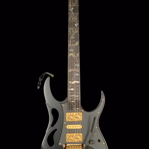 SteveVaiHimself Collection - old