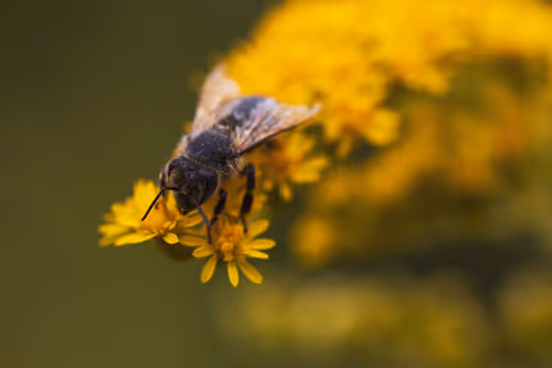 Item #82038507178112004707132471695972498506825775528903589266831690399493902041089 Media