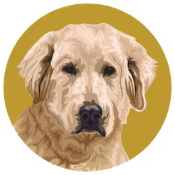 54766349128176429303044182404049584425310907481653304317570414023291309129729