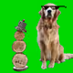 101274683294636612266705335847068558740178233417605734487621976745348981325825