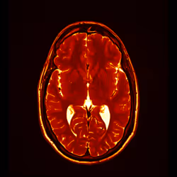 64162533542198579898252916190583583845604629893829087458582976536341366439937