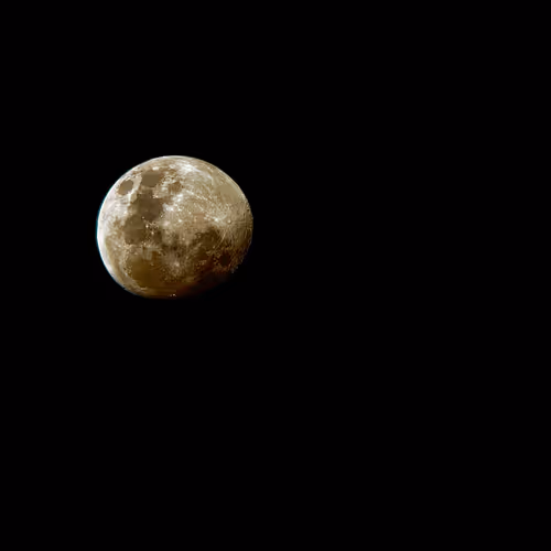 back to the moon