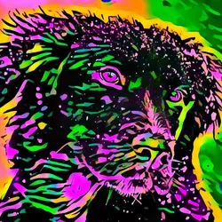 50830097462543580601473563981388698009005024090223633461481089552356902699009