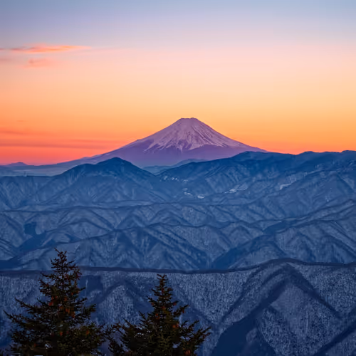 65472528595306385519589273190289195289449917673066579977575224170600481161316