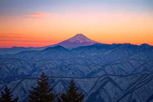 Item #65472528595306385519589273190289195289449917673066579977575224170600481161316 Media