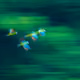 38814539122037981641232620982188327133459036071481005913691617706458853933057